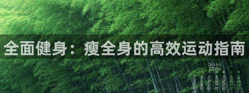 3377体育com：全面健身：瘦全身的高效运动指南