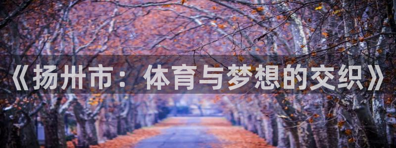 3377体育平台：《扬卅市：体育与梦想的交织》