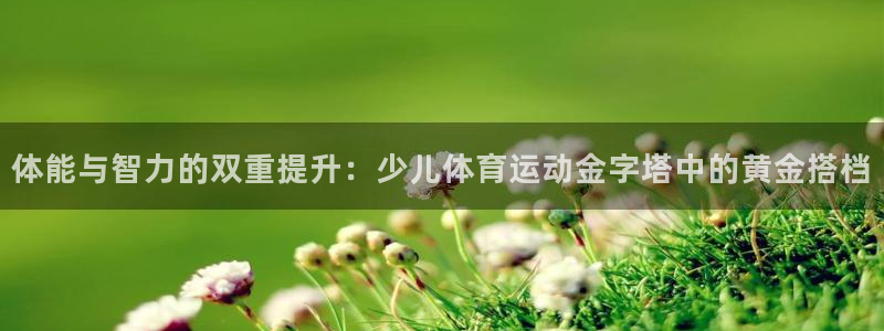 3377体育app下载安装：体能与智力的双重提升：少儿体育运动金字塔中的黄金搭档