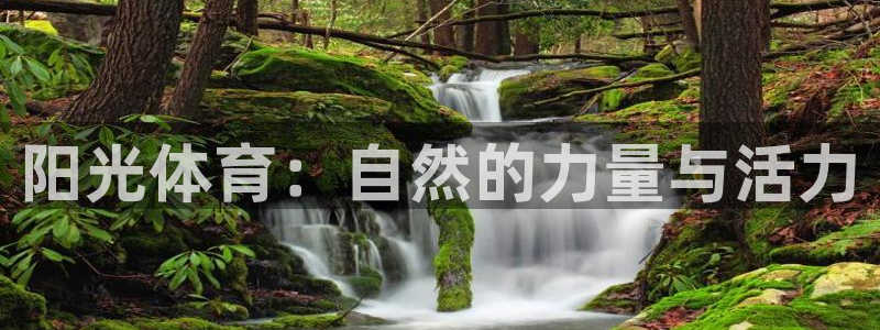 3377体育平台：阳光体育：自然的力量与活力