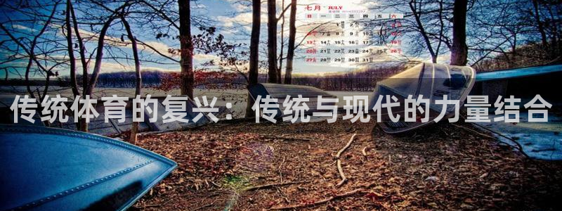 3377体育是正规的吗：传统体育的复兴：传统与现代的力量结合