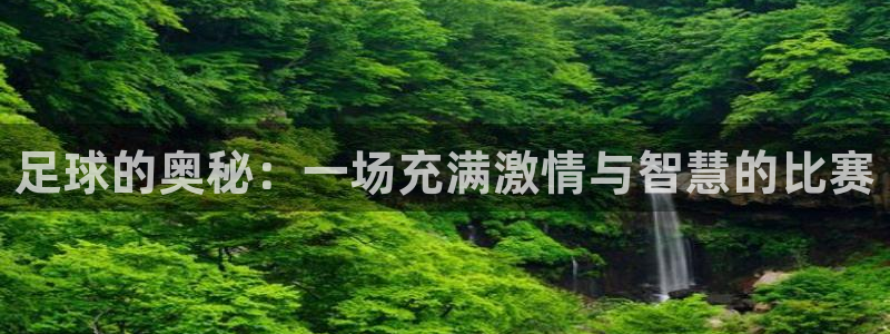 3377体育手机平台：足球的奥秘：一场充满激情与智慧的比赛