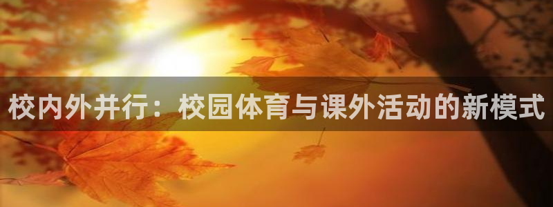 3377体育在线登录官网入口：校内外并行：校园体育与课外活动的新模式