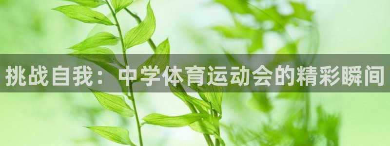 3377体育靠谱吗：挑战自我：中学体育运动会的精彩瞬间