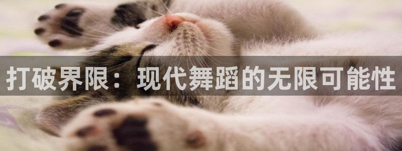 3377体育中国官方网站入口：打破界限：现代舞蹈的无限可能性